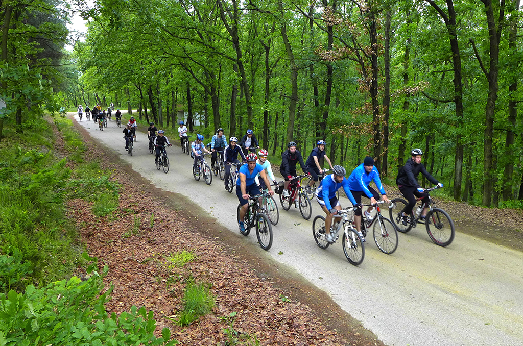 İl Ormanı’nda Bisiklet Keyfi