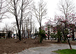 Şemsiyeli Park 22 Nisan'da İhaleye Çıkıyor