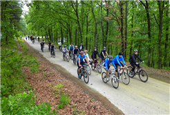 İl Ormanı’nda Bisiklet Keyfi