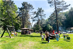 Longoz ve İl Ormanı’na 40 bin ziyaretçi giriş yaptı. Bayramda turistik noktalar ziyaretçi akınına uğradı
