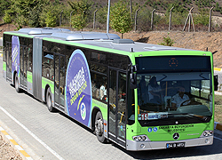 Otobüsler Üniversite Terminal Arasında da Çalışacak