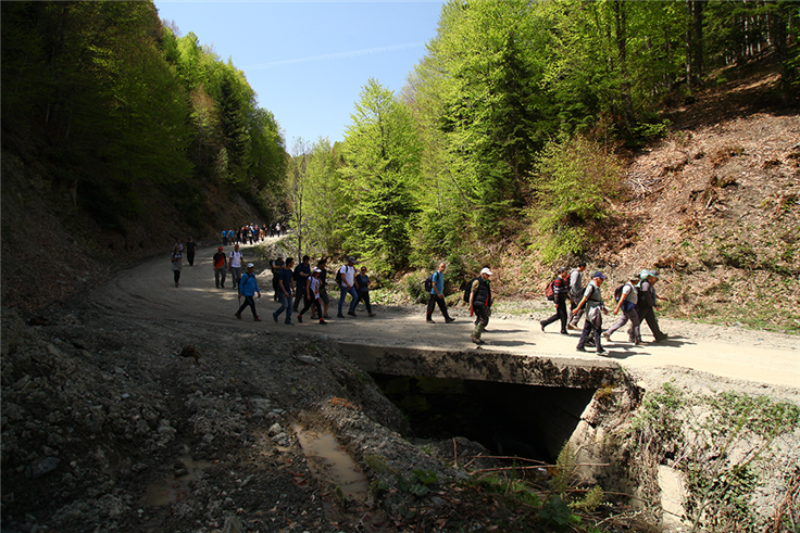 Pamukova ve Sapanca’da doğa ile iç içe yürüyüş