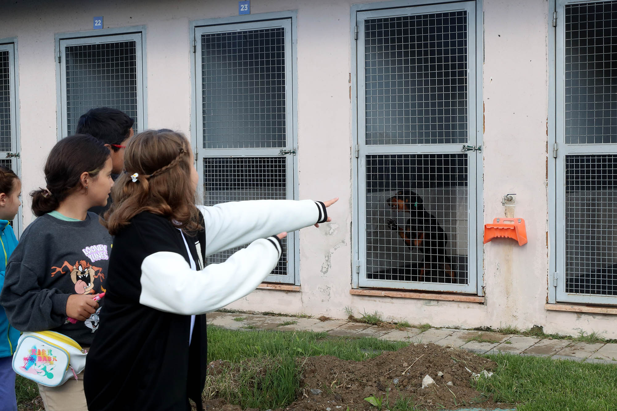 Büyükşehirle unutulmaz bir gün: Can dostların yaşam serüveni, bir yudum suyun önemi ve maceraya yolculuk