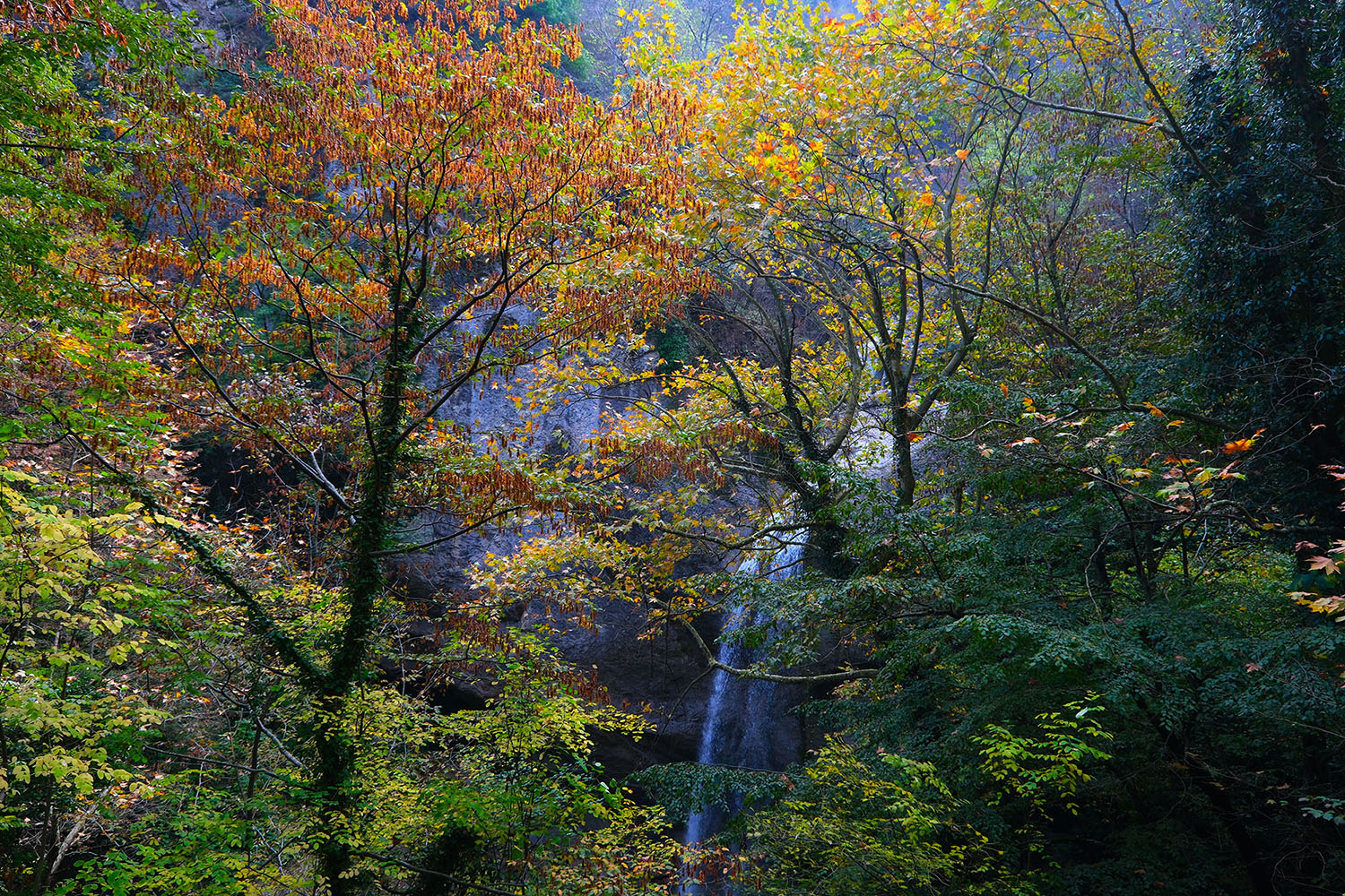 Yaylalardan longoz ormanlarına: Sakarya’da doğayla iç içe sonbahar