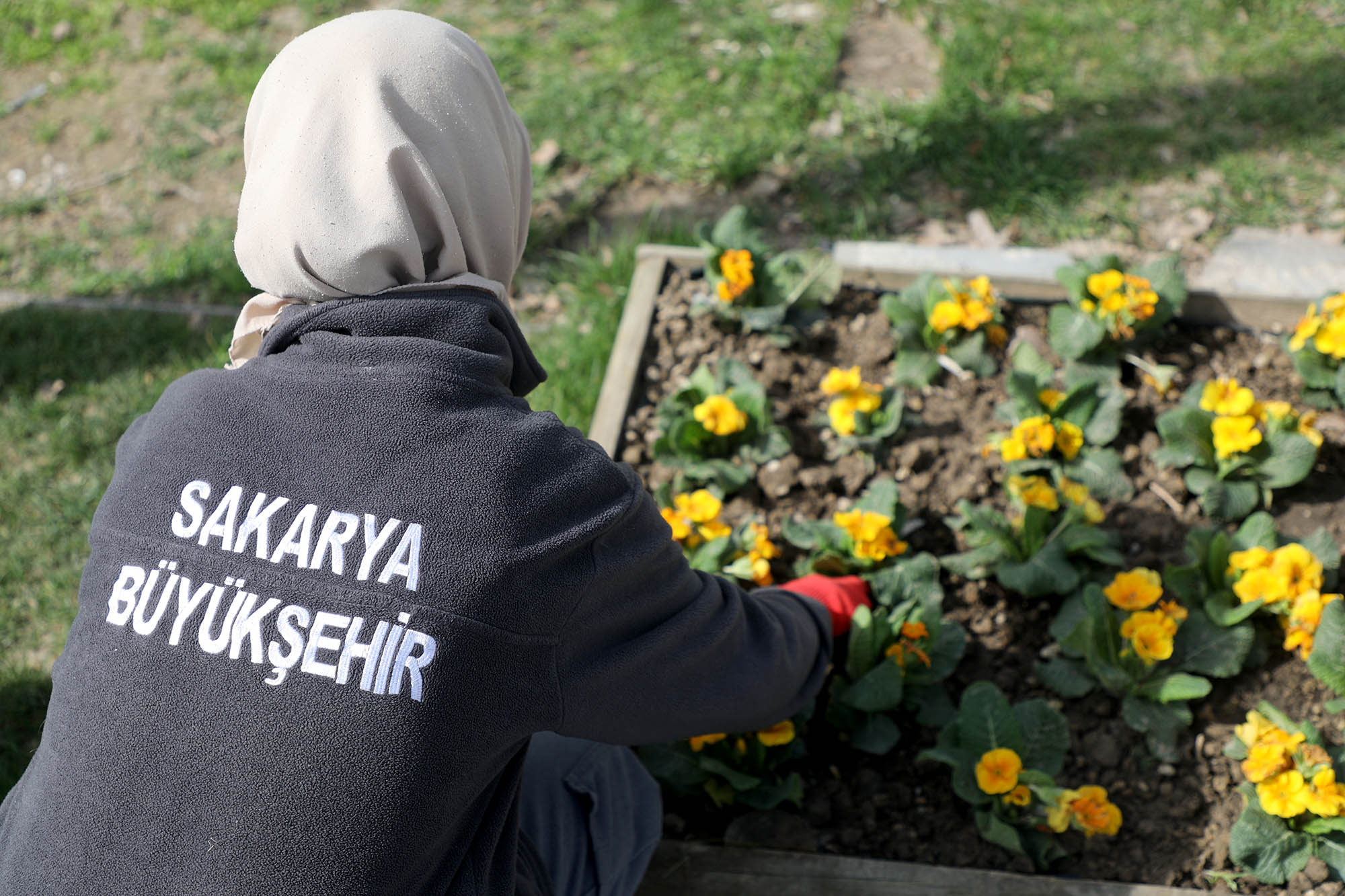 Millet Bahçesi yaz sezonuna hazırlanıyor
