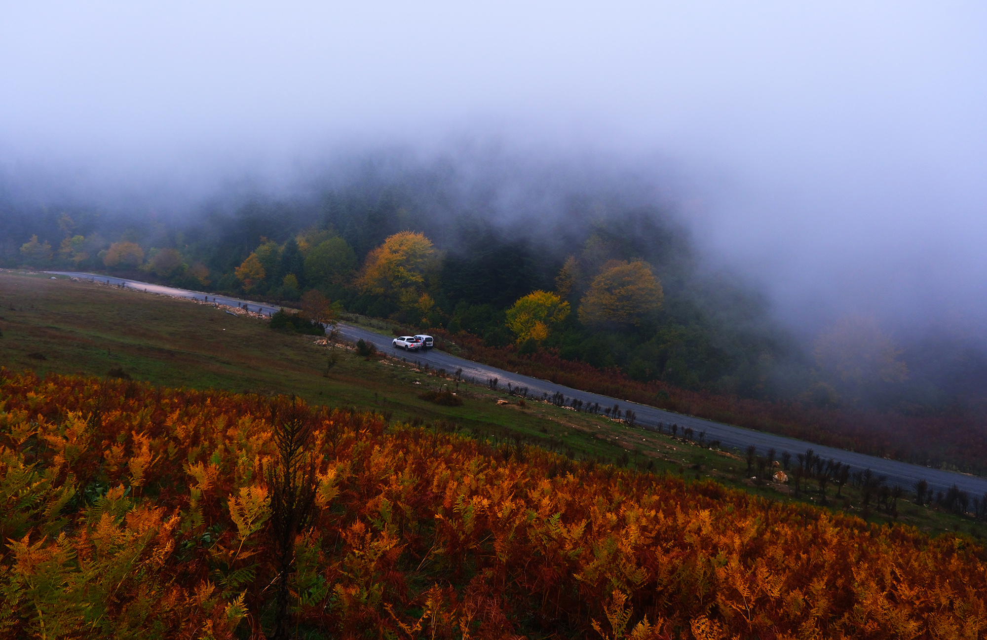 Yaylalardan longoz ormanlarına: Sakarya’da doğayla iç içe sonbahar