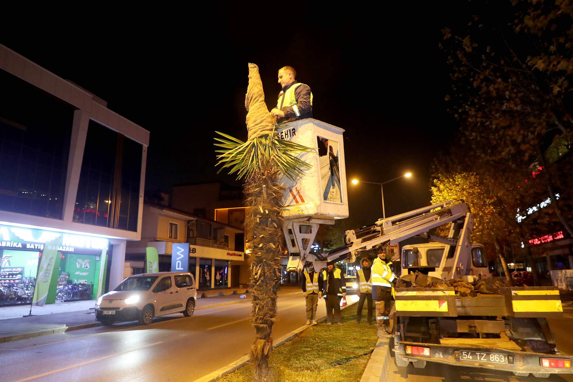 Büyükşehir’den şehrin süsü palmiyeler için dondurucu soğuklara karşı özel önlem