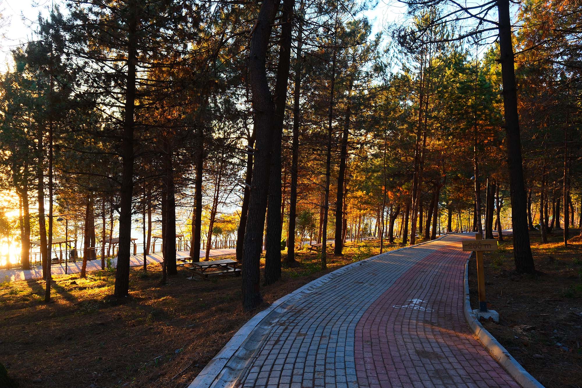 Sapanca Gölü kıyısında ‘huzur veren’ doğa projesi kapılarını açtı