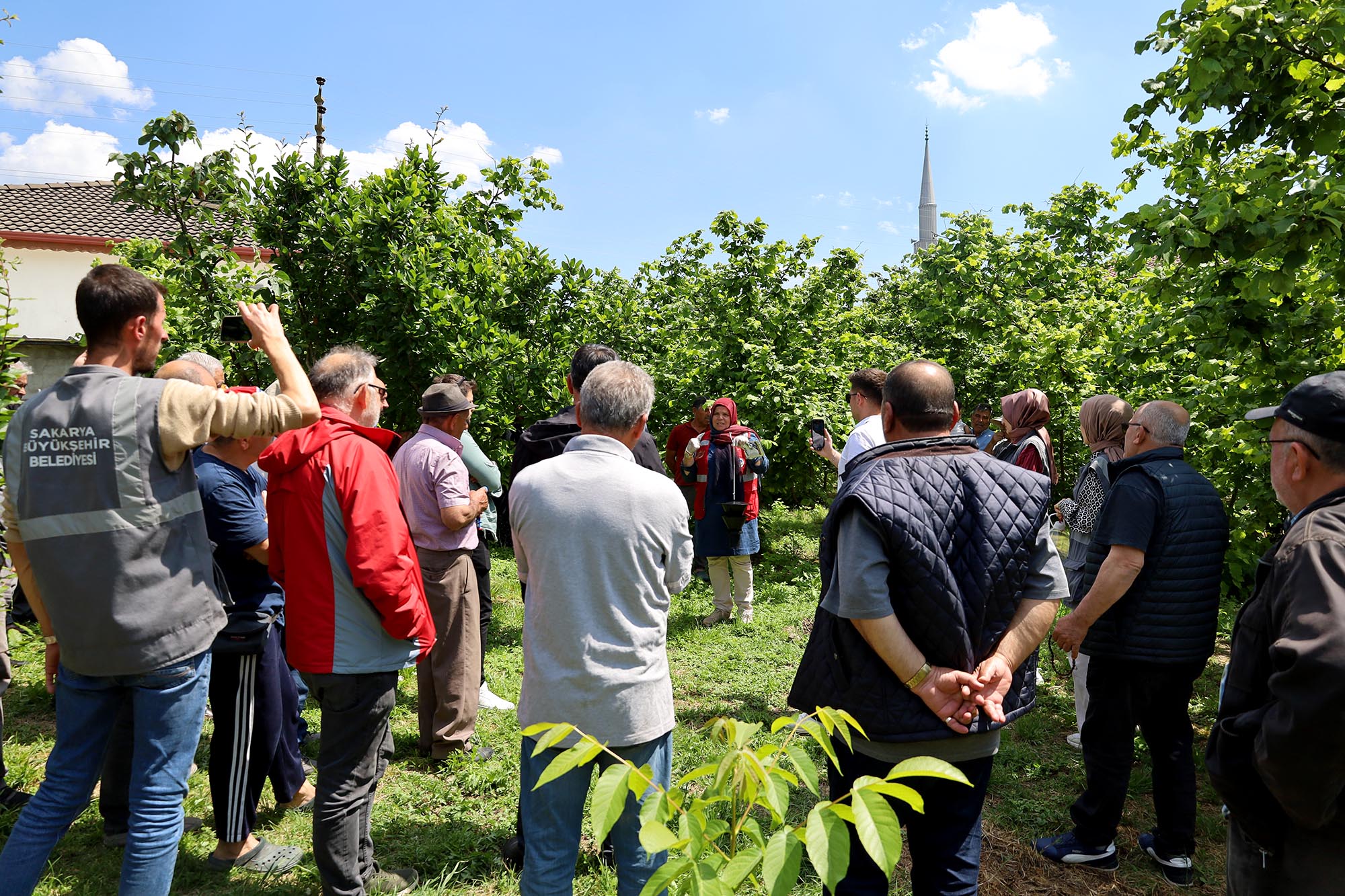 Sakarya’da kahverengi kokarca kabusuyla mücadele başladı: Büyükşehir ekibi sahada çiftçilere feromon tuzağı ulaştırıyor