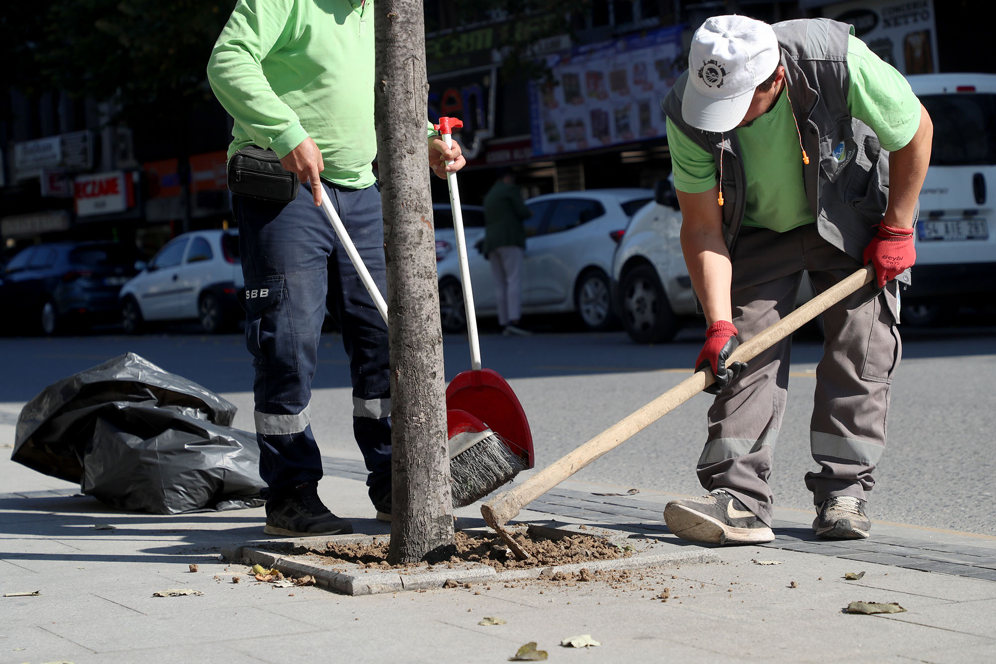 Büyükşehir’den şehrin dört bir yanına sonbahar dokunuşu