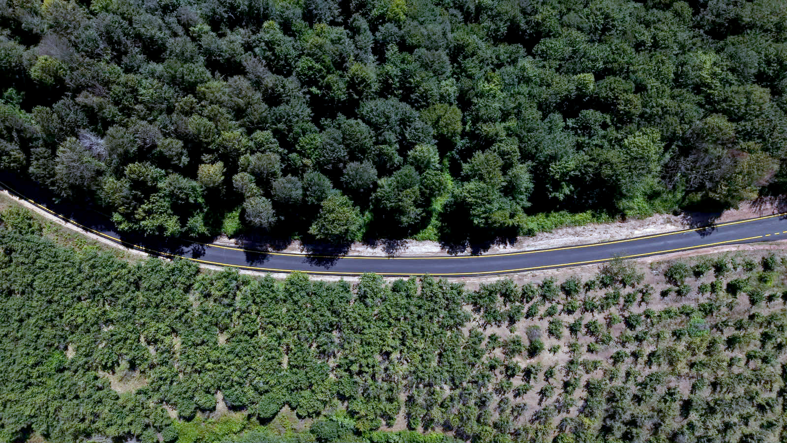 Kocaali’de asfaltın ardından yollar çizgilerle güvenli hale geldi