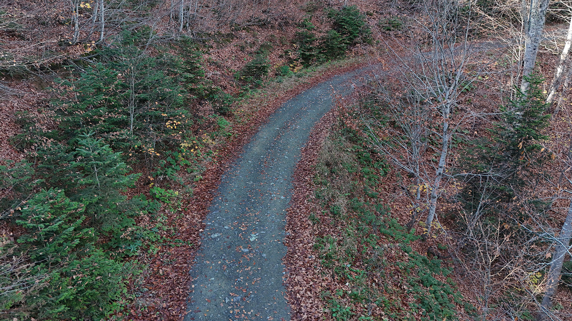 Sonbaharın büyüleyici renkleri arasında 14 kilometrelik unutulmaz rota