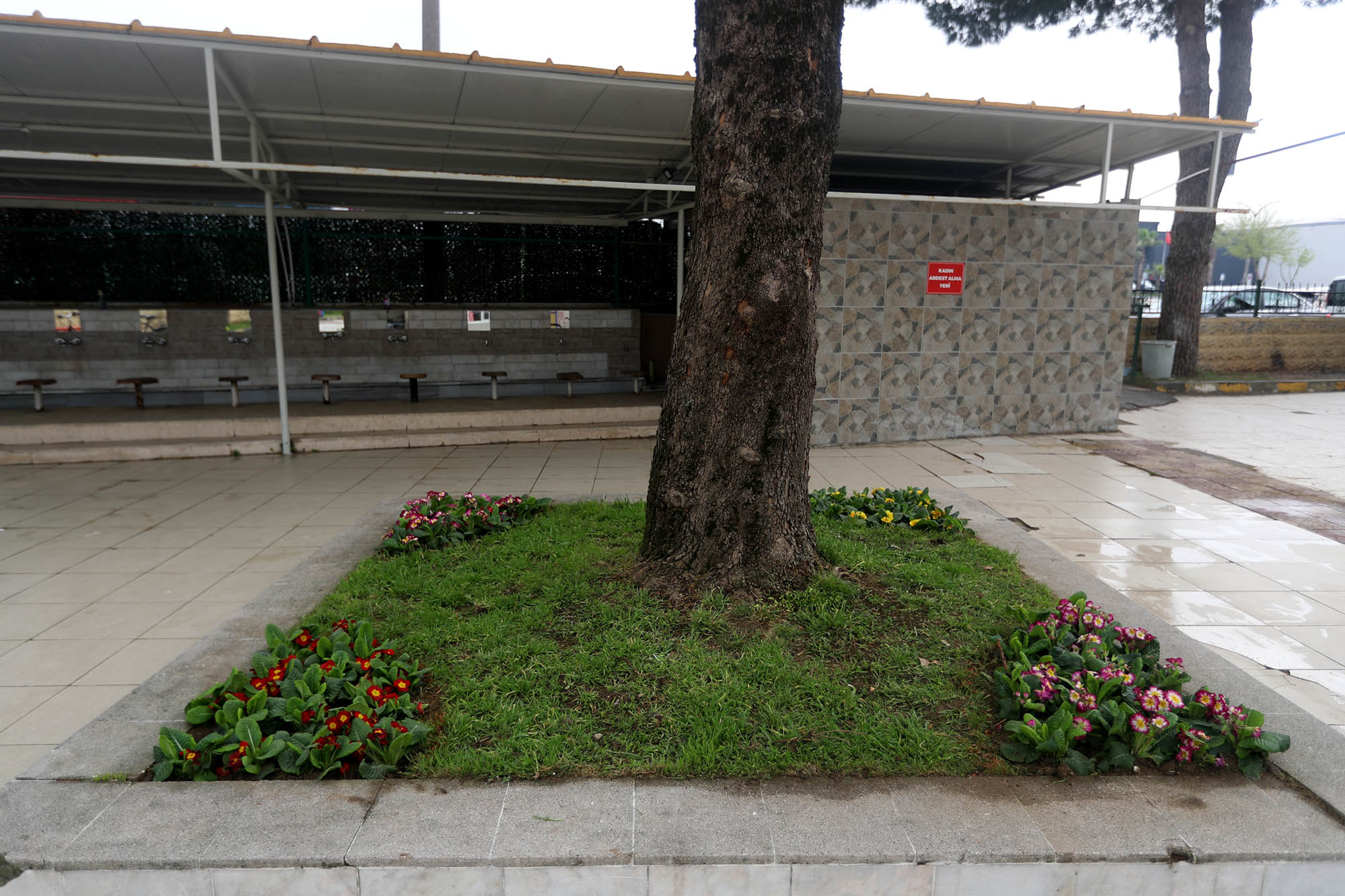 Büyükşehir’in dokunuşuyla camiler bayram öncesi çiçek açıyor