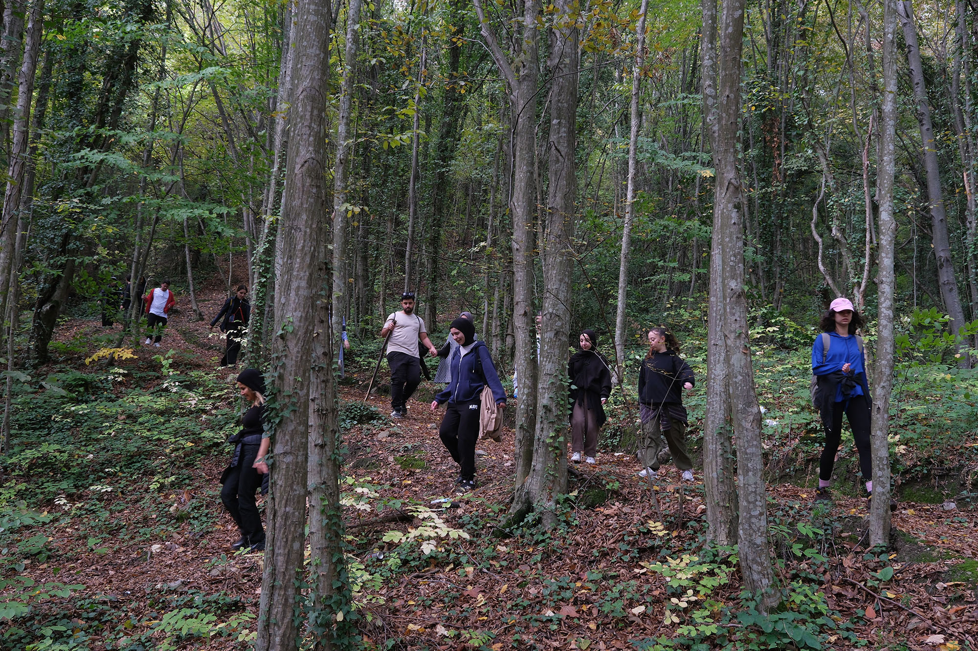 Yaylalardan longoz ormanlarına: Sakarya’da doğayla iç içe sonbahar