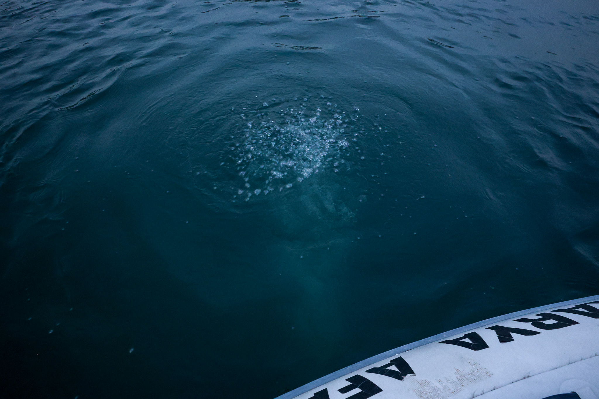SASKİ Sapanca Gölü’ndeki o noktada incelemenin sonucunu paylaştı: “Yapılan incelemede olumsuz bir duruma rastlanmadı” 
