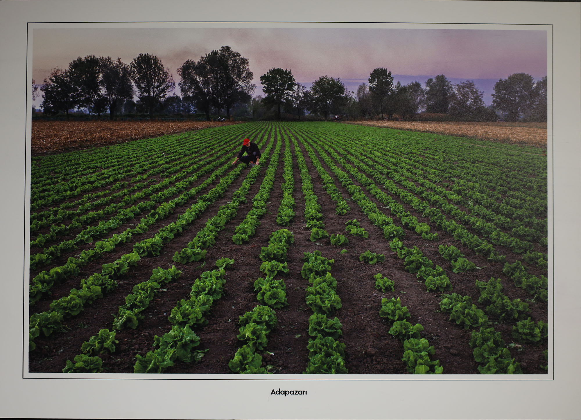 Sakarya’nın kültürünü yansıtan kareler OSM’de sanatseverle buluştu