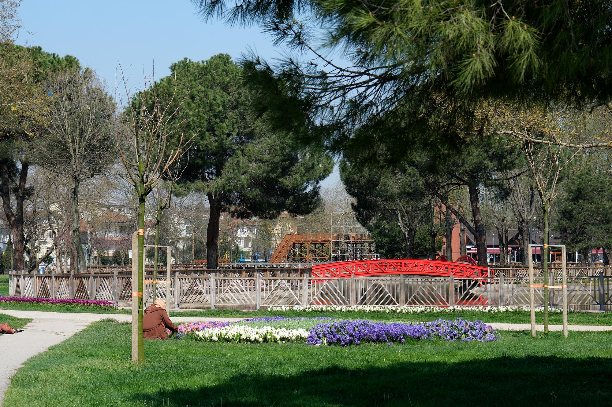 Sakarya’da baharın büyüleyici cümbüşü