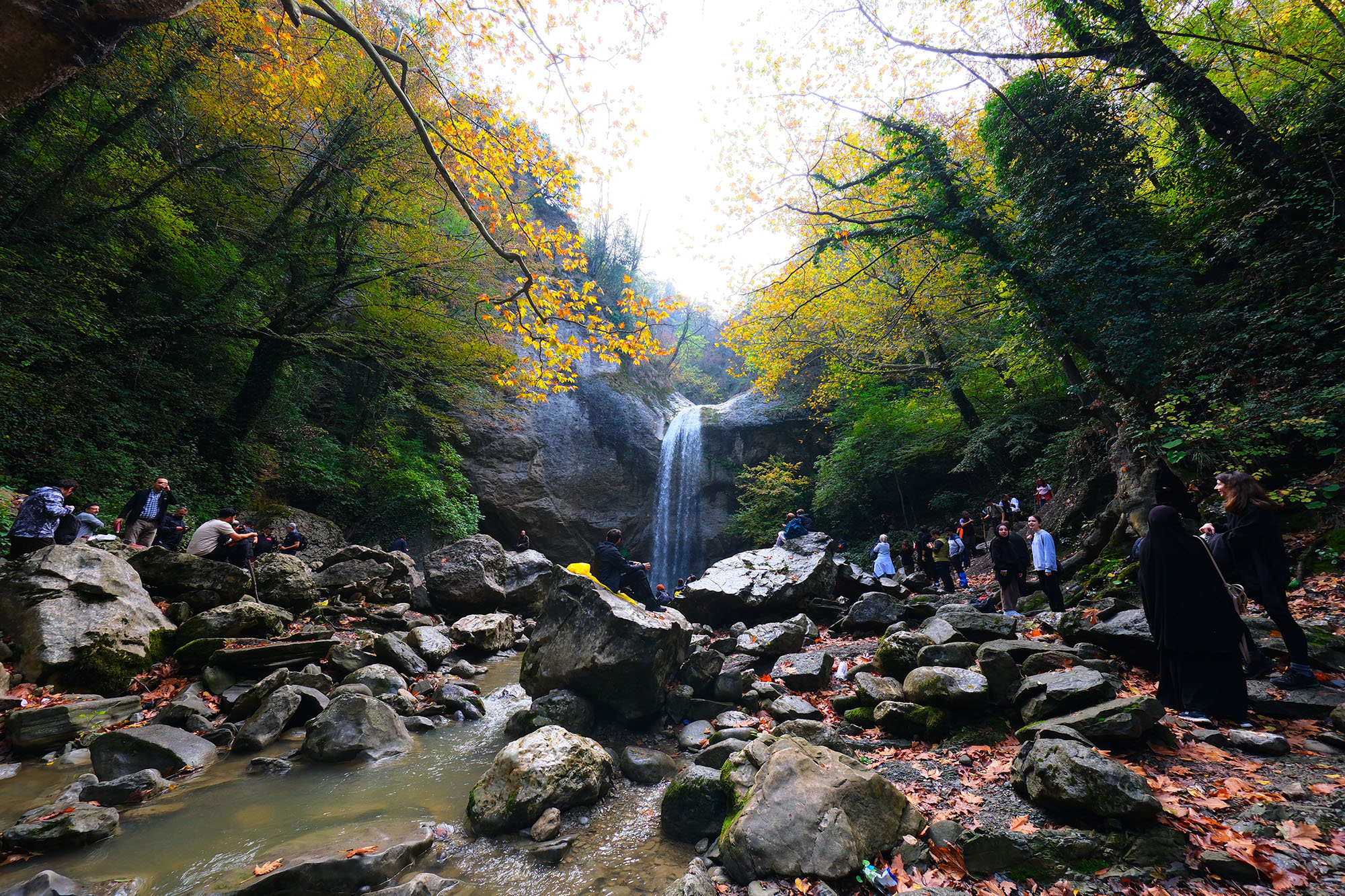 Sakarya’da doğa tutkunlarının beklediği takvim geldi: Baharı muhteşem manzarayla karşılayacaklar…