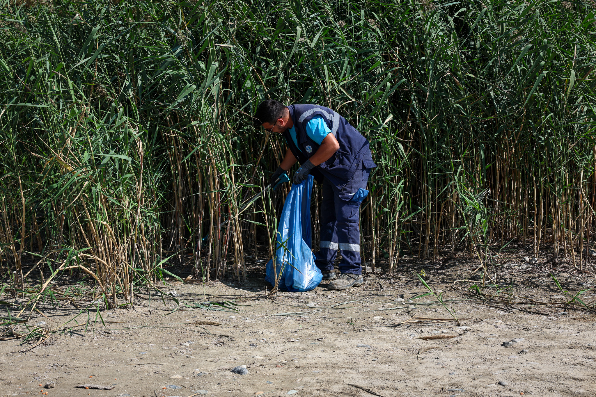 Sapanca Gölü çevresinden 2 ton çöp toplandı
