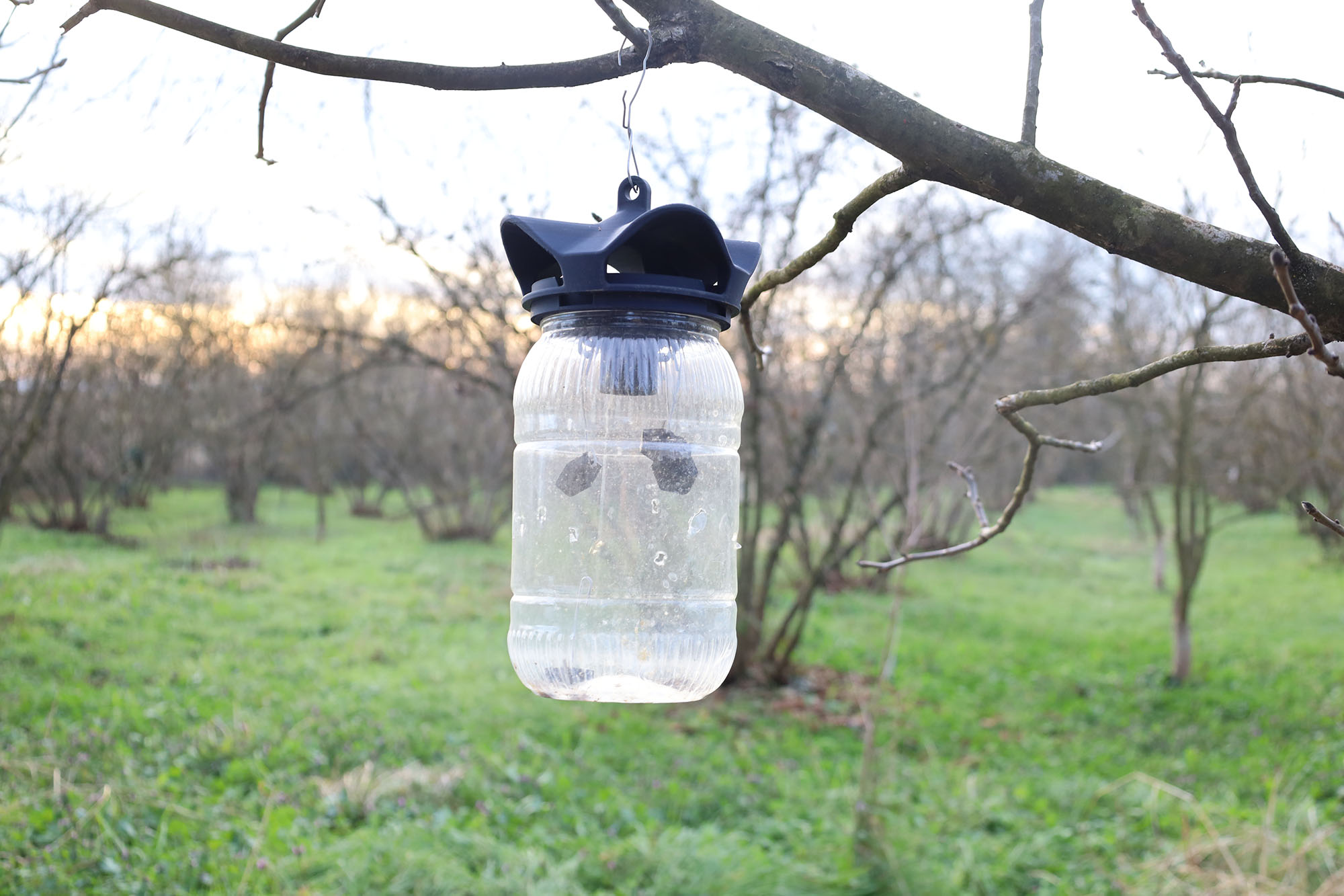 Evi görünce terk etmeyi düşündü: Binlerce kokarcanın istila kabusunu TUTSAK bitirdi