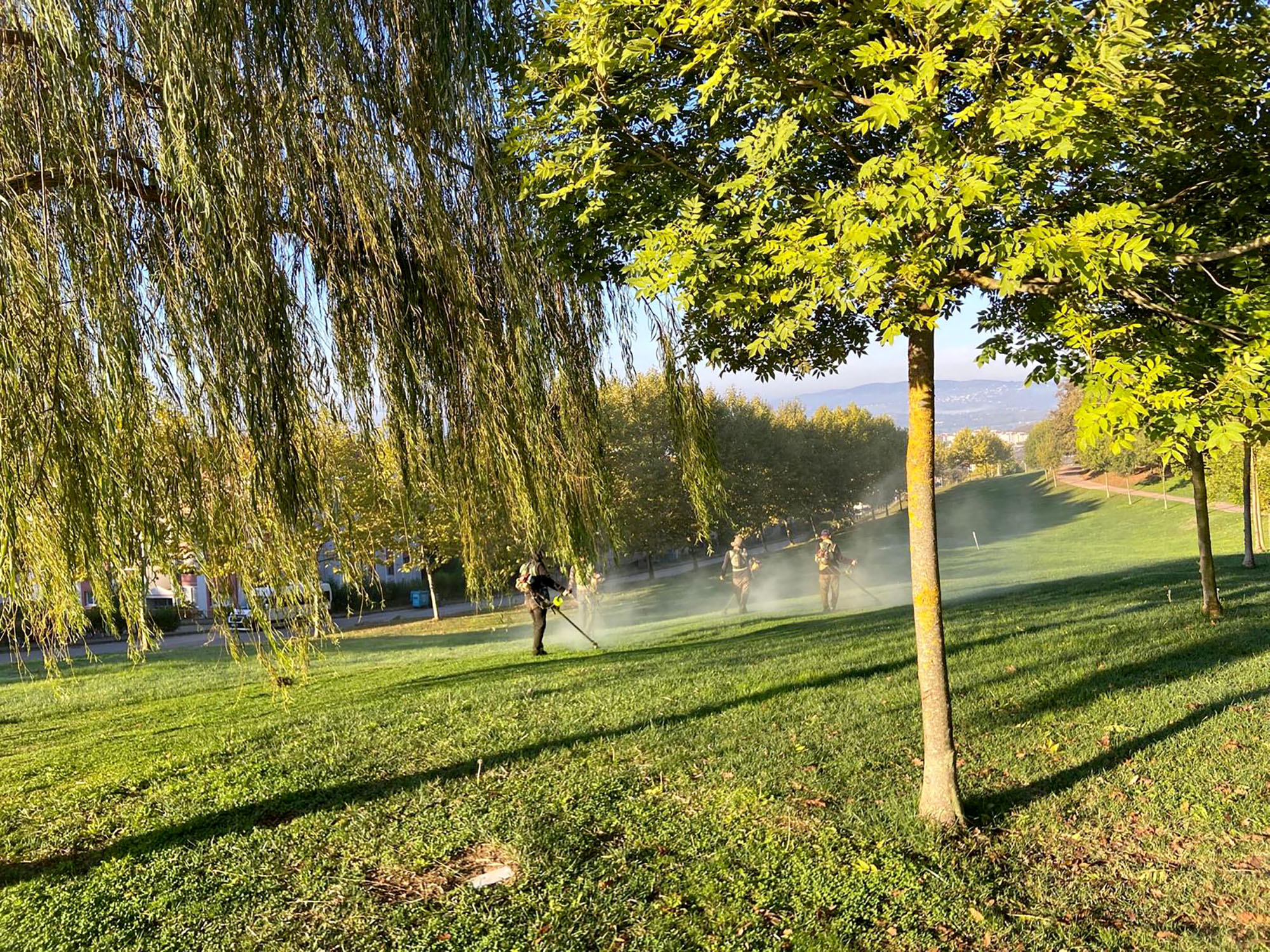 Büyükşehir’den şehrin dört bir yanına sonbahar dokunuşu