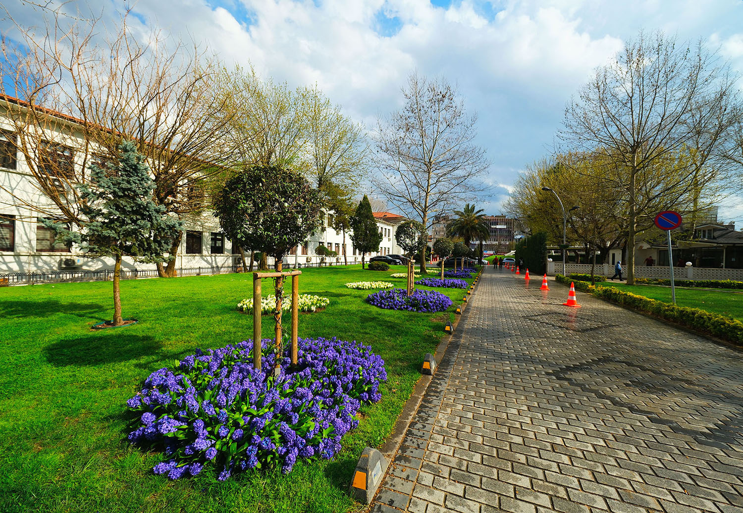 Sakarya’da baharın büyüleyici cümbüşü