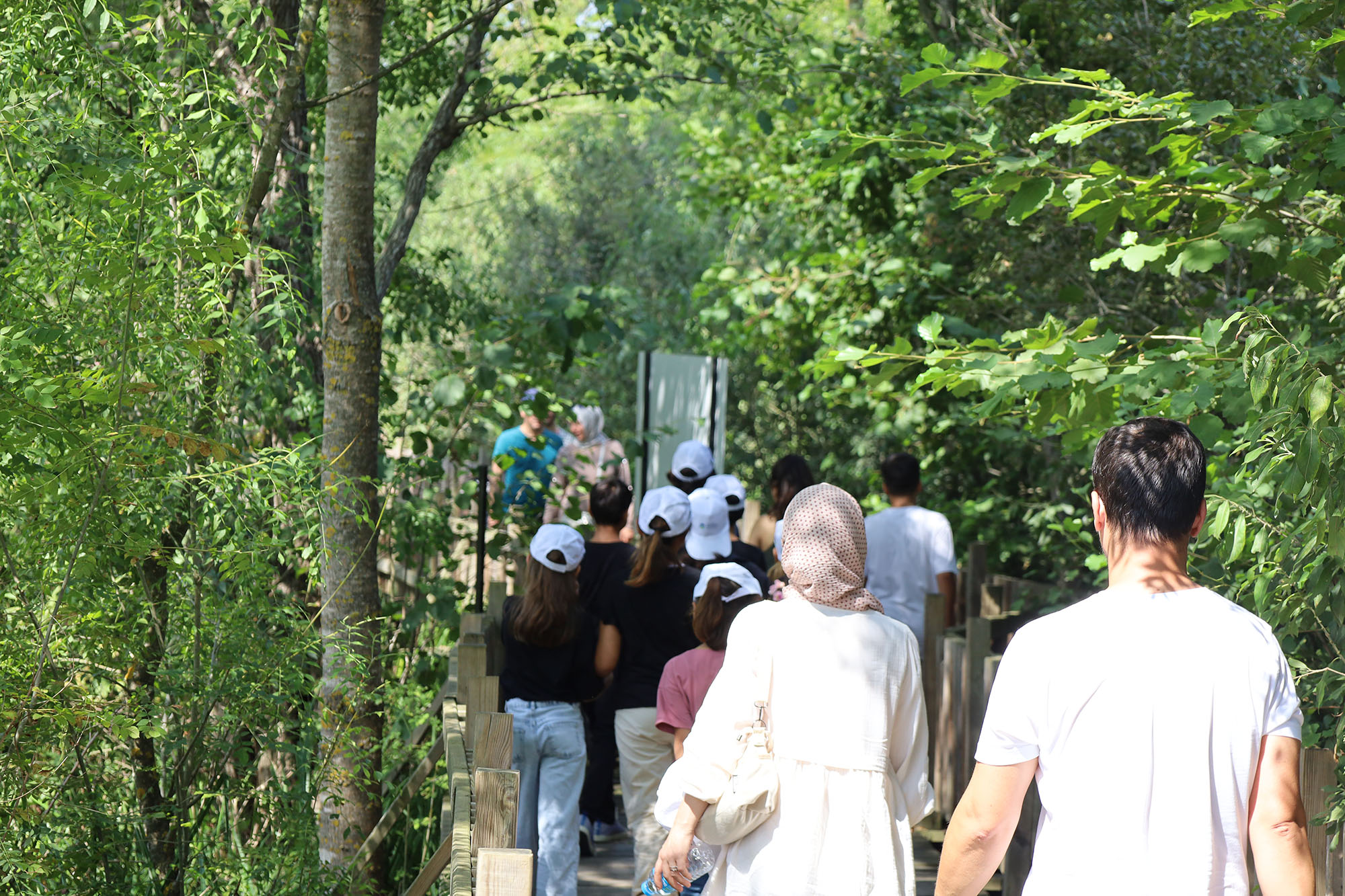 İsveç’te başlayan ‘plogging’ akımı Karasu Sahili’ne ulaştı: Elde poşetlerle baştan sona kadar… 