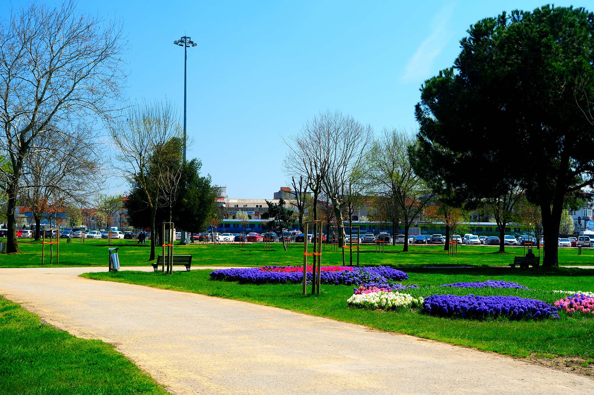 Sakarya’da baharın büyüleyici cümbüşü