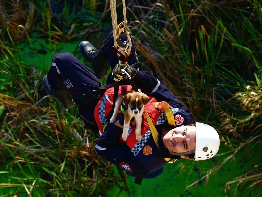 Sakarya’nın ateş savaşçıları yüzlerce cana nefes oldu