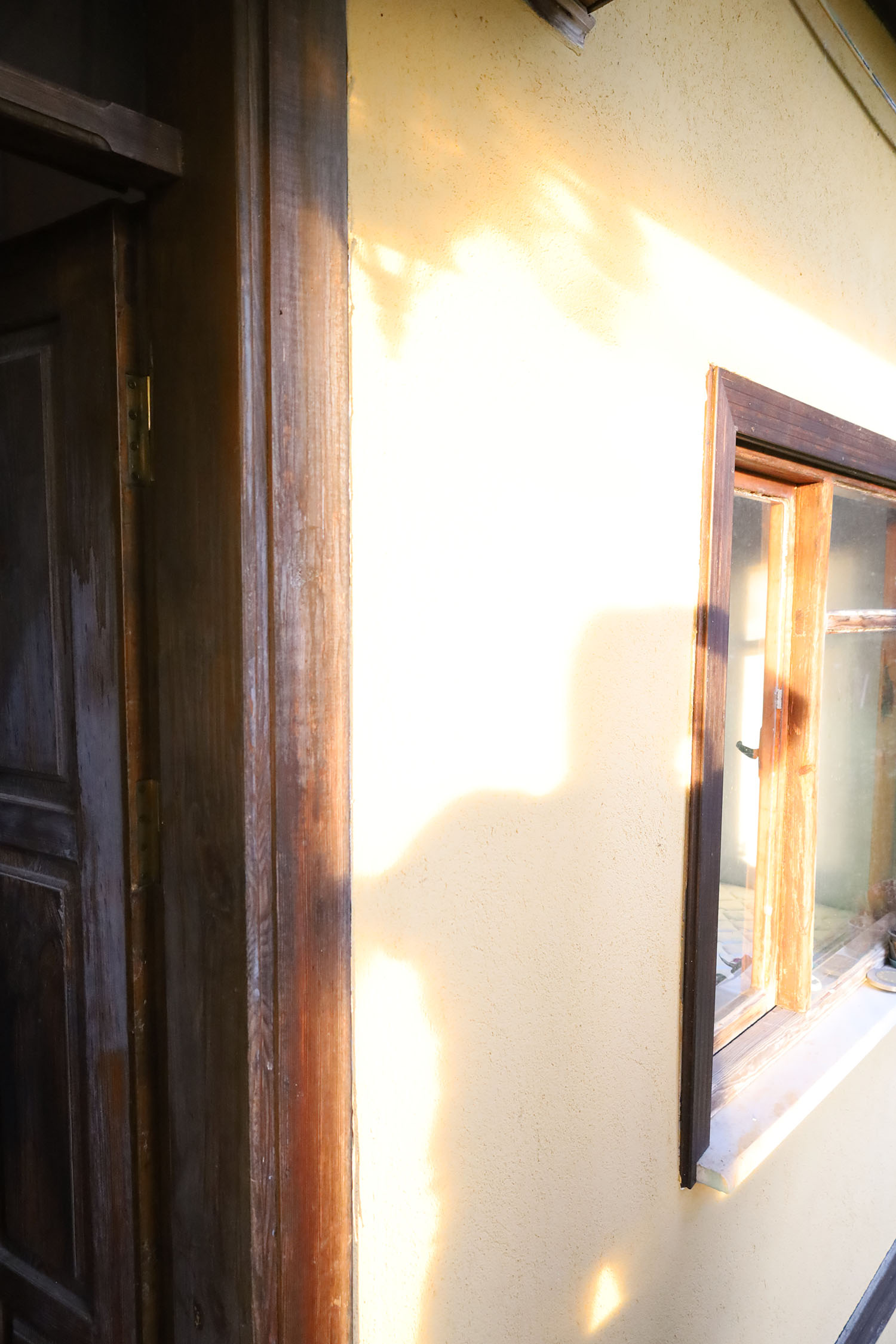 Evi görünce terk etmeyi düşündü: Binlerce kokarcanın istila kabusunu TUTSAK bitirdi