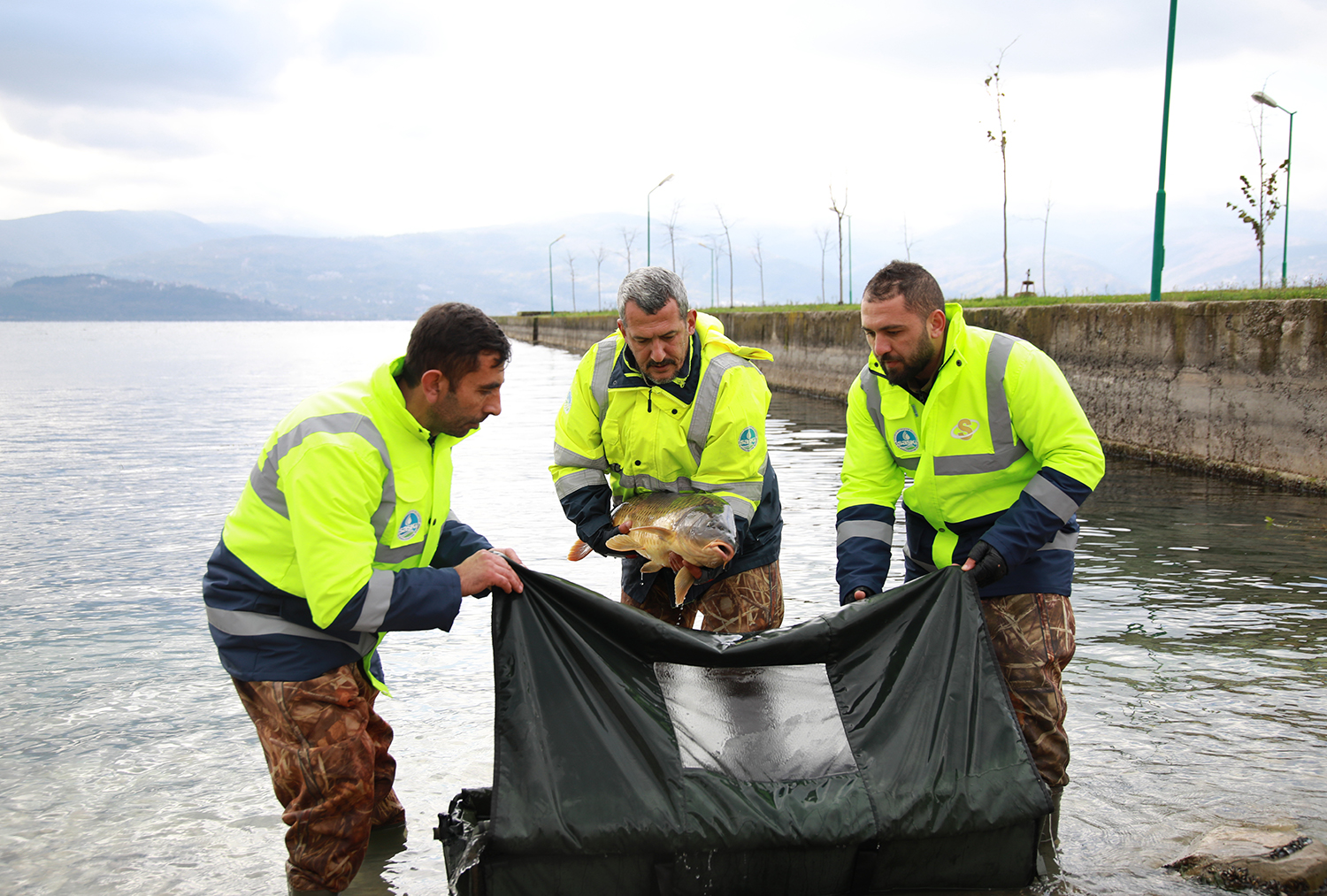 10 kiloluk sazanlar doğal güzelliği koruyacak