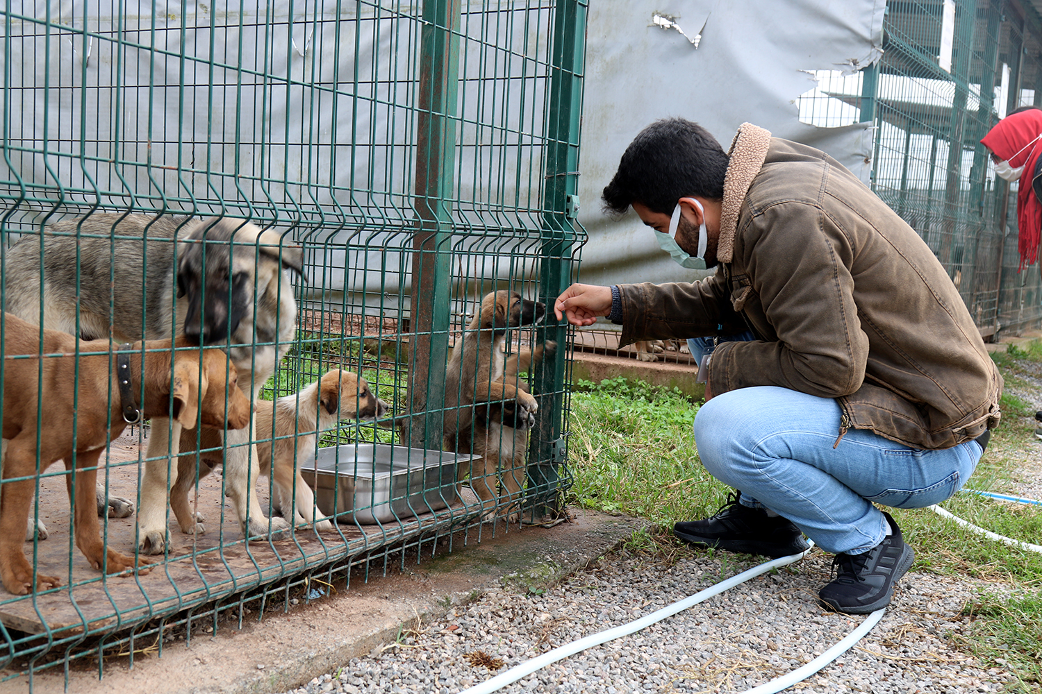 2024’te can dostların derdine deva hastalığına şifa oldular: Kedi, köpek, tavşan, sincap…