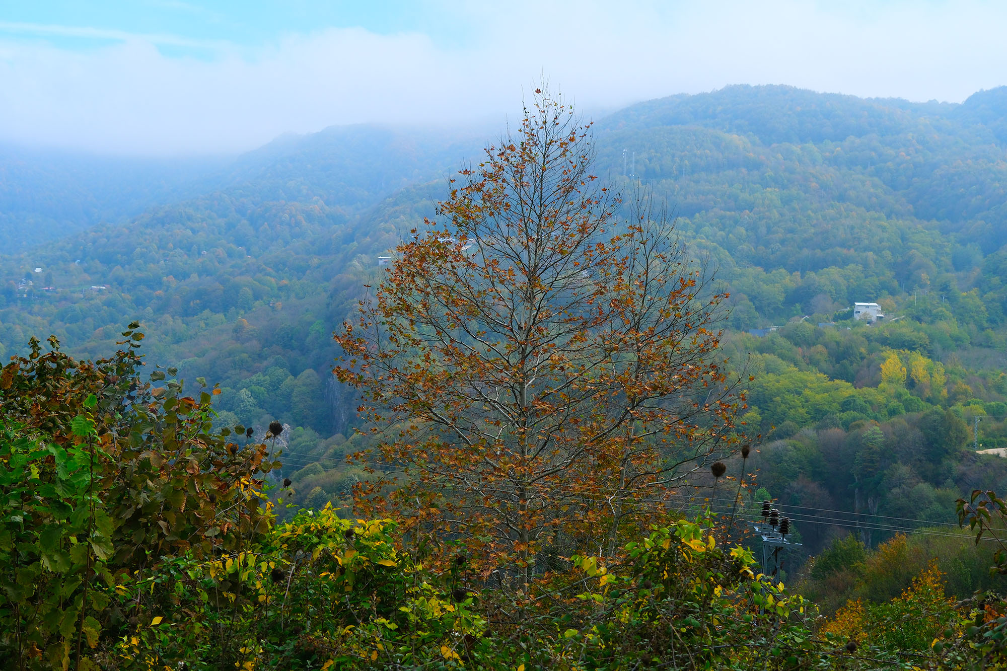 Yaylalardan longoz ormanlarına: Sakarya’da doğayla iç içe sonbahar