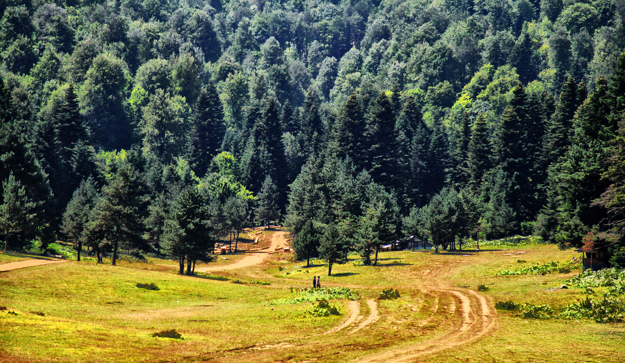 Sakarya’da doğa tutkunlarının beklediği takvim geldi: Baharı muhteşem manzarayla karşılayacaklar…