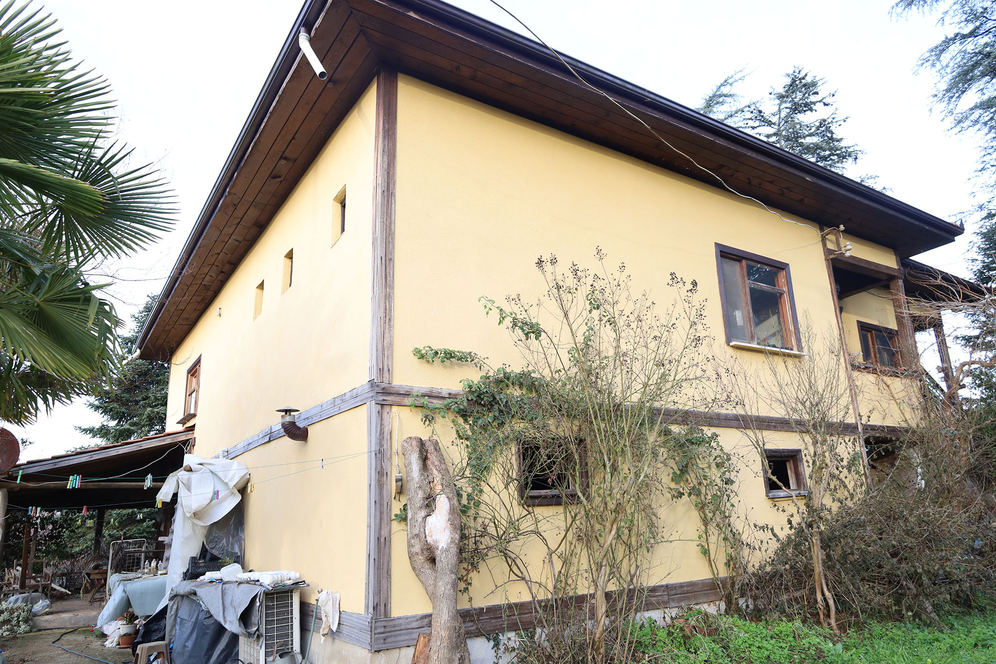 Evi görünce terk etmeyi düşündü: Binlerce kokarcanın istila kabusunu TUTSAK bitirdi