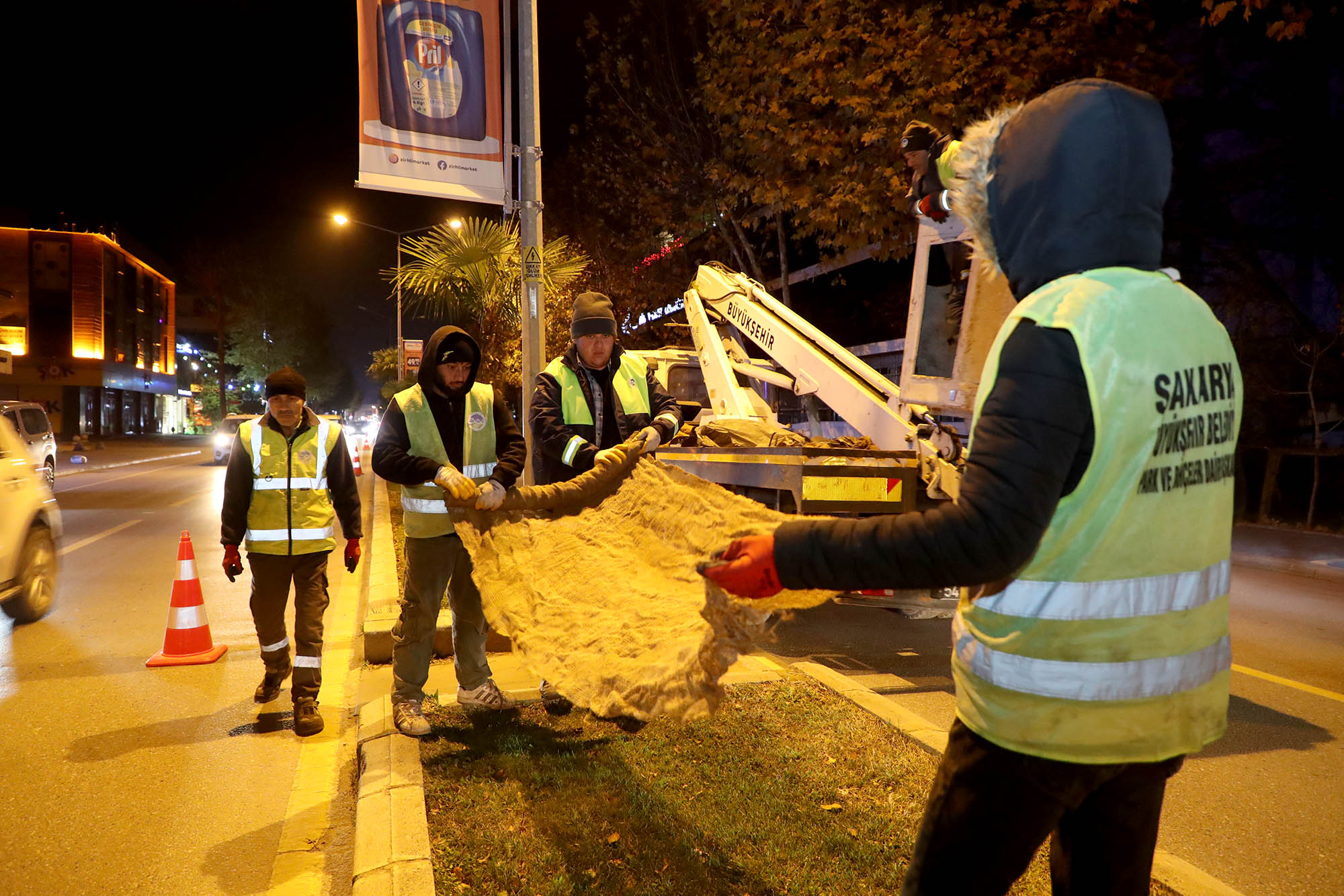 Büyükşehir’den şehrin süsü palmiyeler için dondurucu soğuklara karşı özel önlem