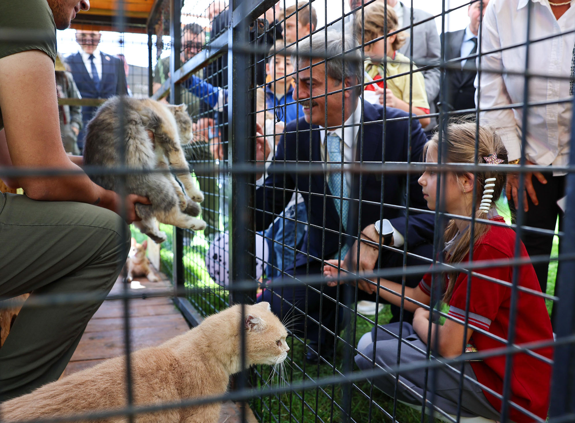 2024’te can dostların derdine deva hastalığına şifa oldular: Kedi, köpek, tavşan, sincap…