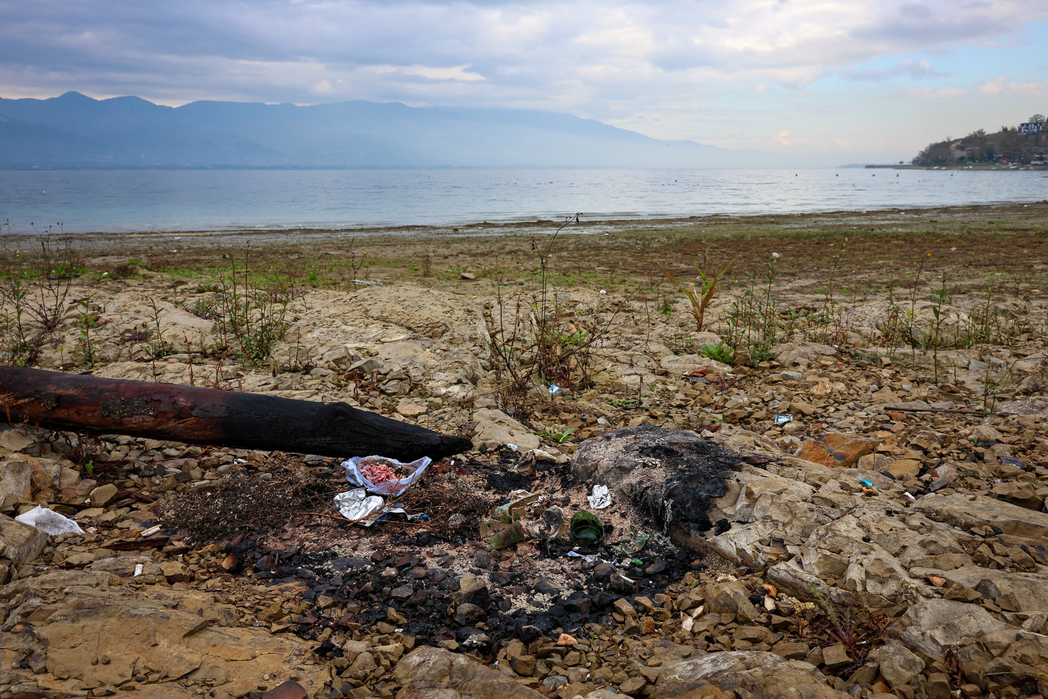 Sapanca Gölü kıyılarında ekosistemi koruyan temizlik çalışması sürüyor