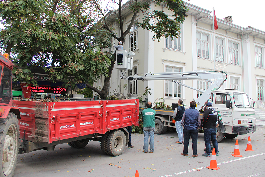 Büyükşehir yeşil cenneti teknolojiyle koruyor: 3 boyutlu tomografi cihazı olası faciaları da önleyecek