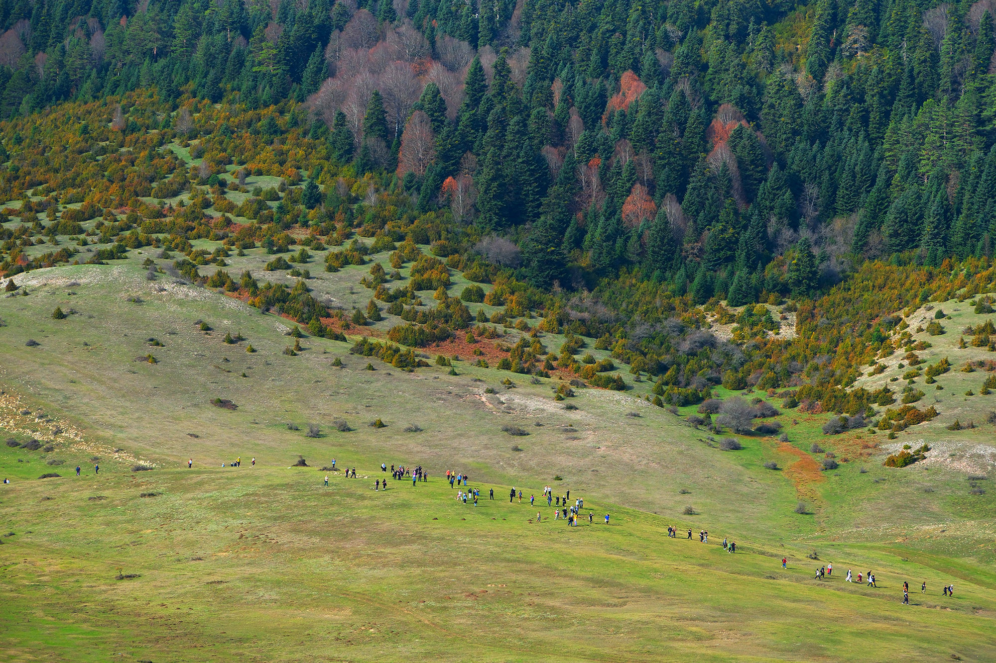 Doğaseverlerin bu haftaki rotası Karagöl ve Sultanpınarı Yaylası oldu