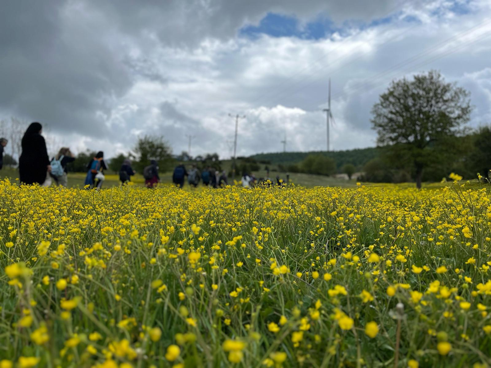 Doğa tutkunları Karagöl’ün cennet doğasını adım adım keşfetti 