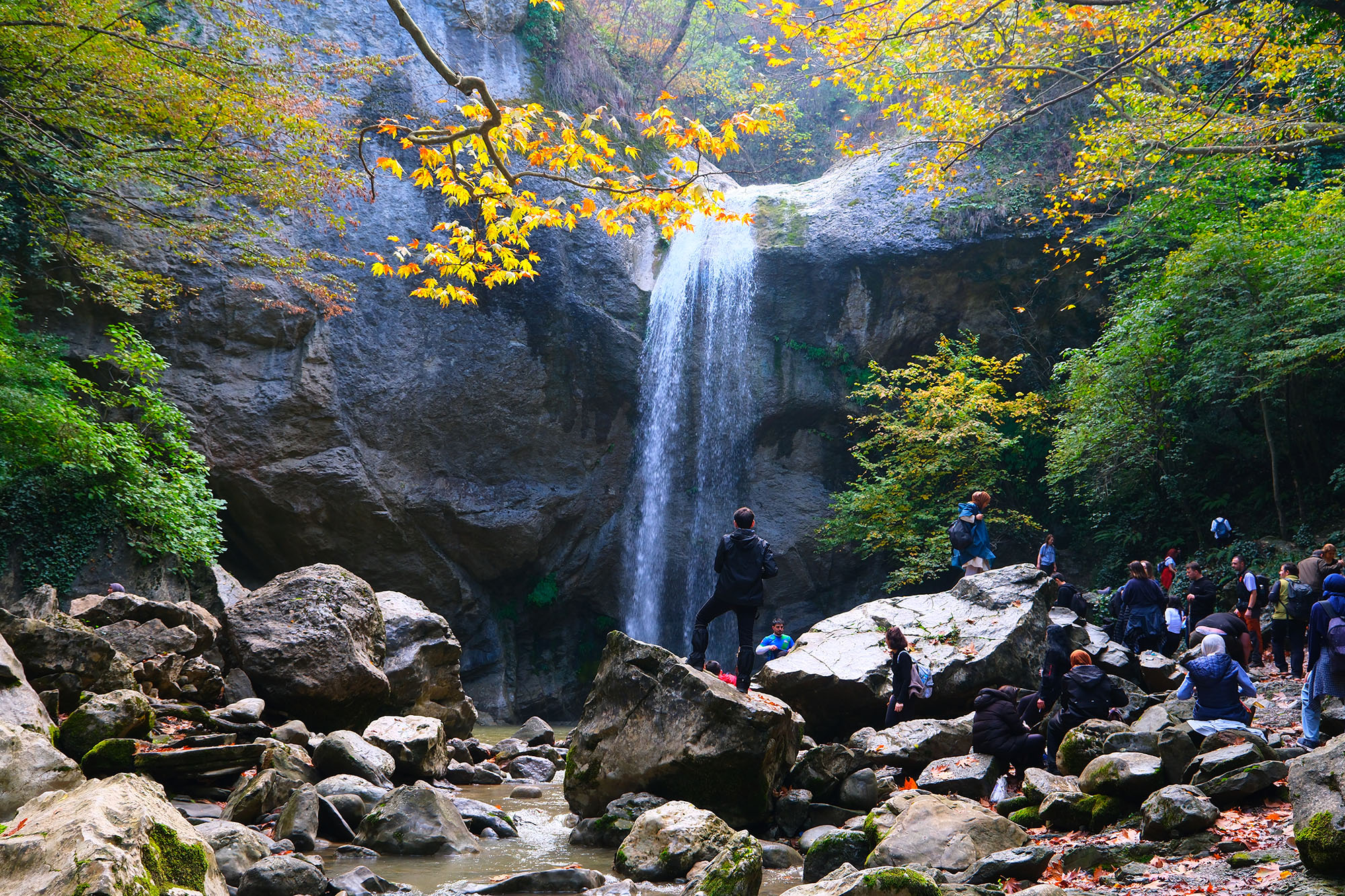 Sakarya’da doğa tutkunlarının beklediği takvim geldi: Baharı muhteşem manzarayla karşılayacaklar…