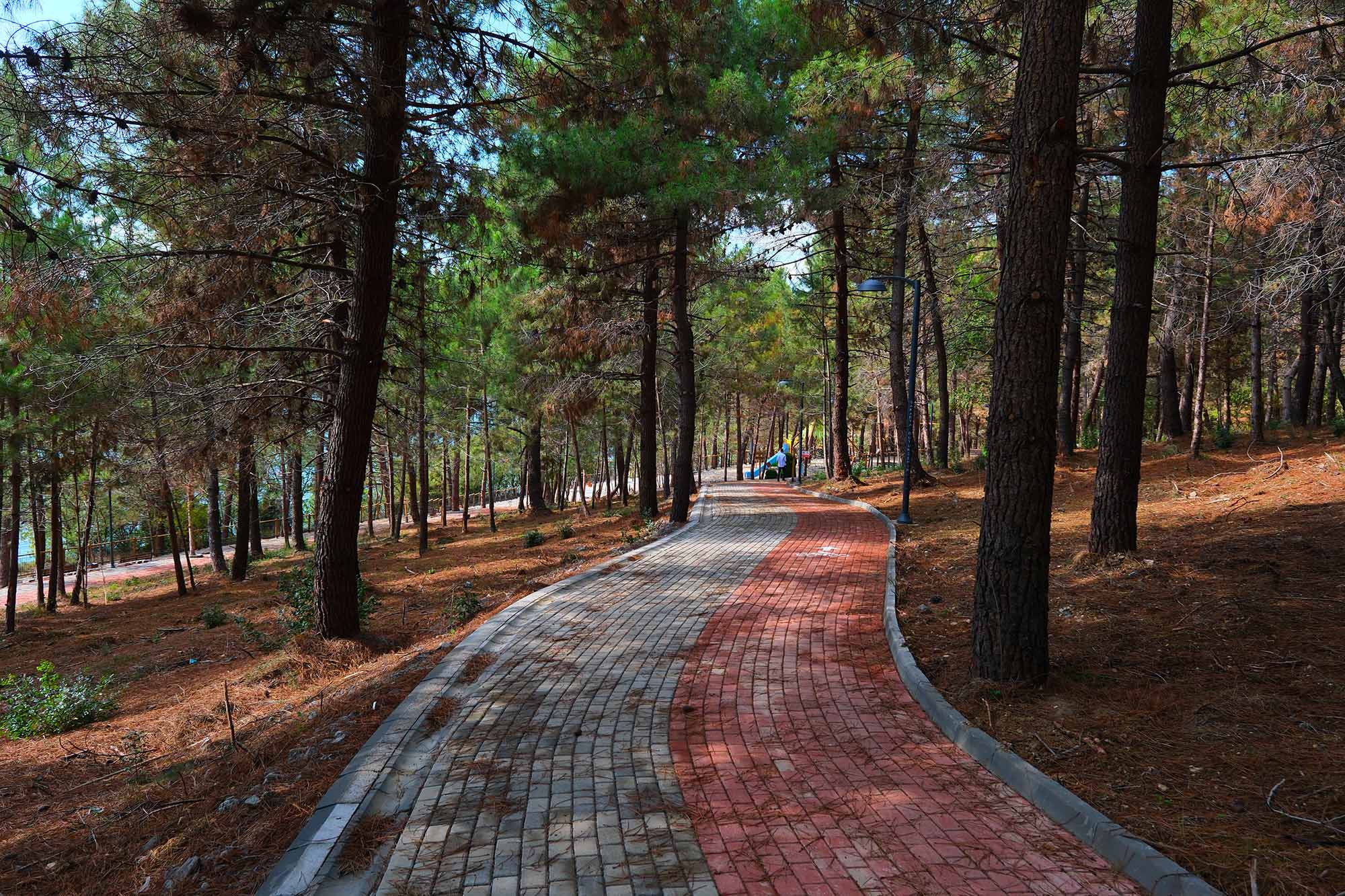 Sapanca Gölü kıyısında ‘huzur veren’ doğa projesi kapılarını açtı
