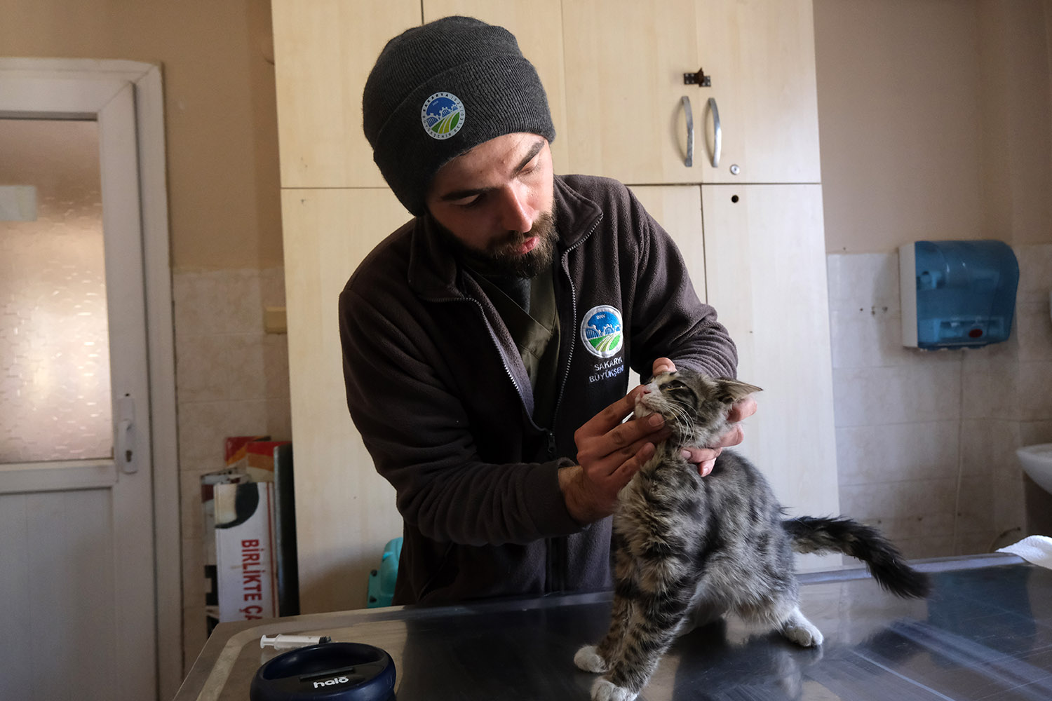 Büyükşehir veteriner ekibi Antakya’da can dostlarının yaralarını sarıyor