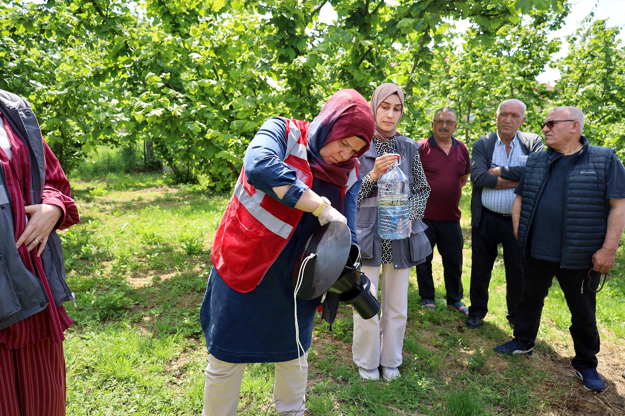 Sakarya’da kahverengi kokarca kabusuyla mücadele başladı: Büyükşehir ekibi sahada çiftçilere feromon tuzağı ulaştırıyor