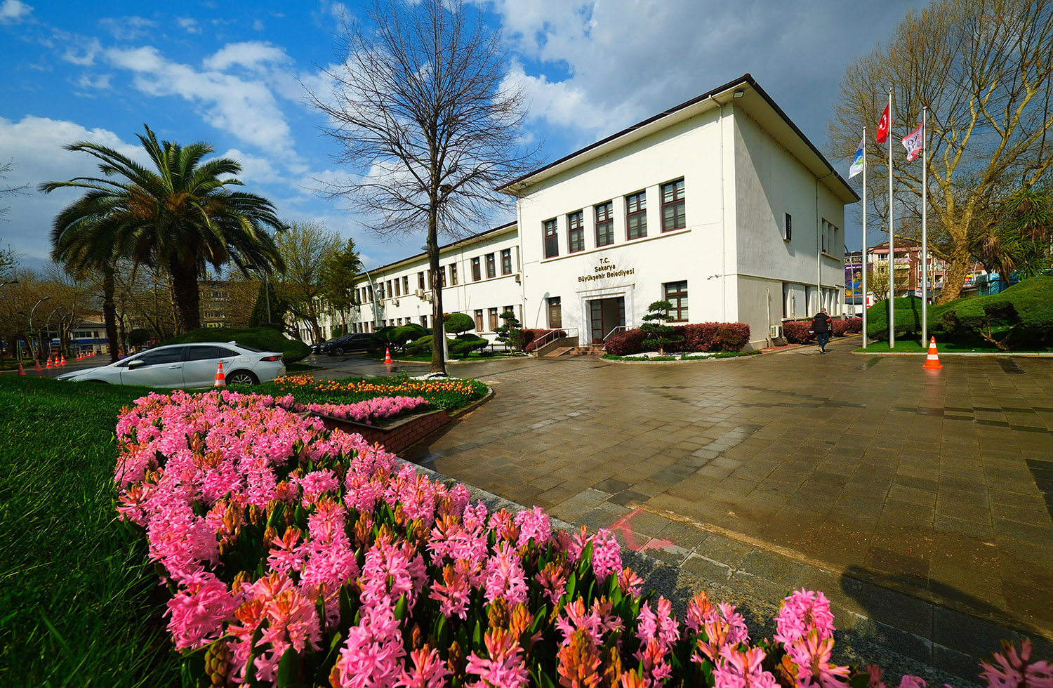 Sakarya’da baharın büyüleyici cümbüşü