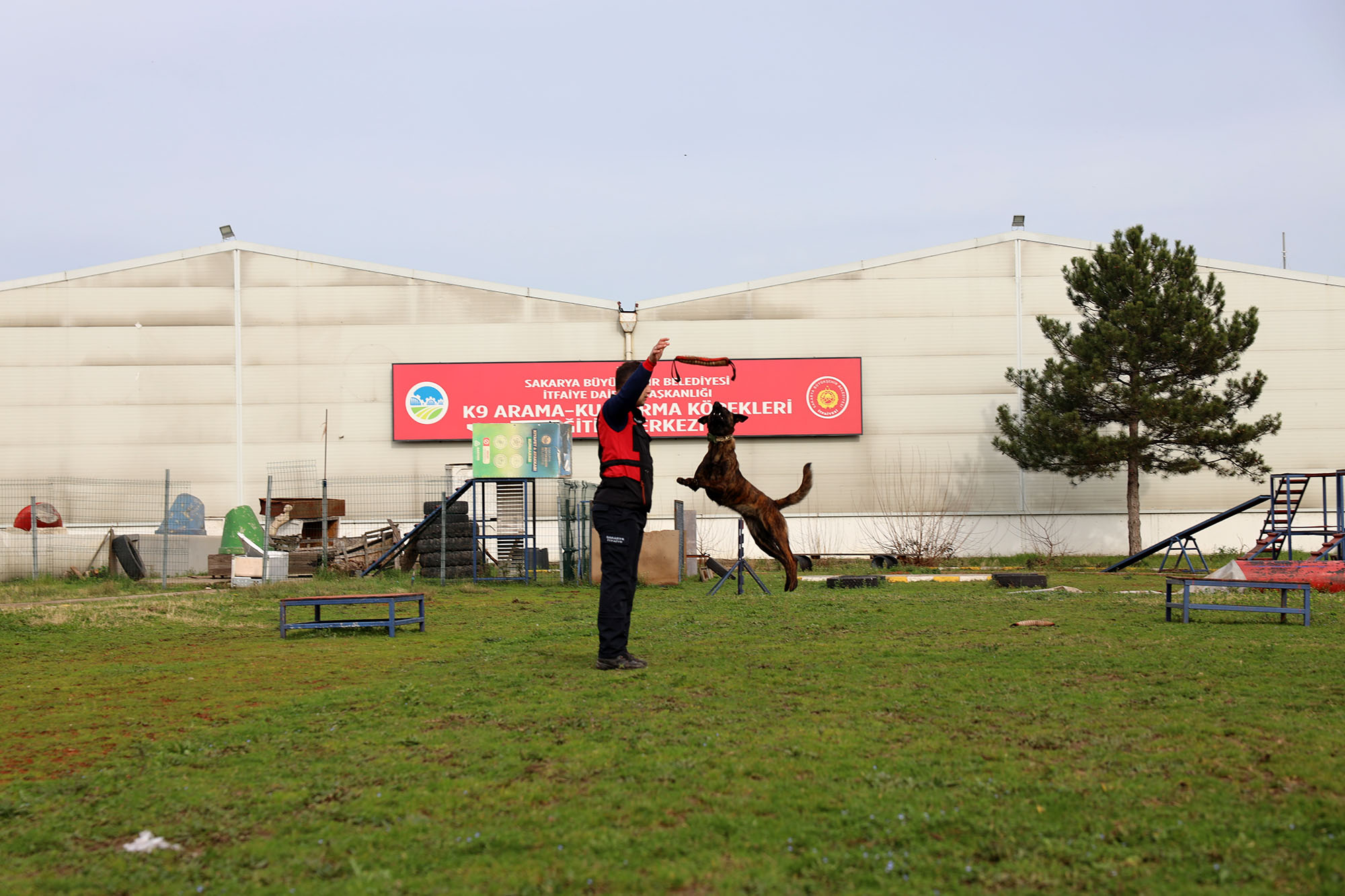 Reina, Ateş, Google ve Qill en zor anda ‘umut’ olmak için hep hazır kıta