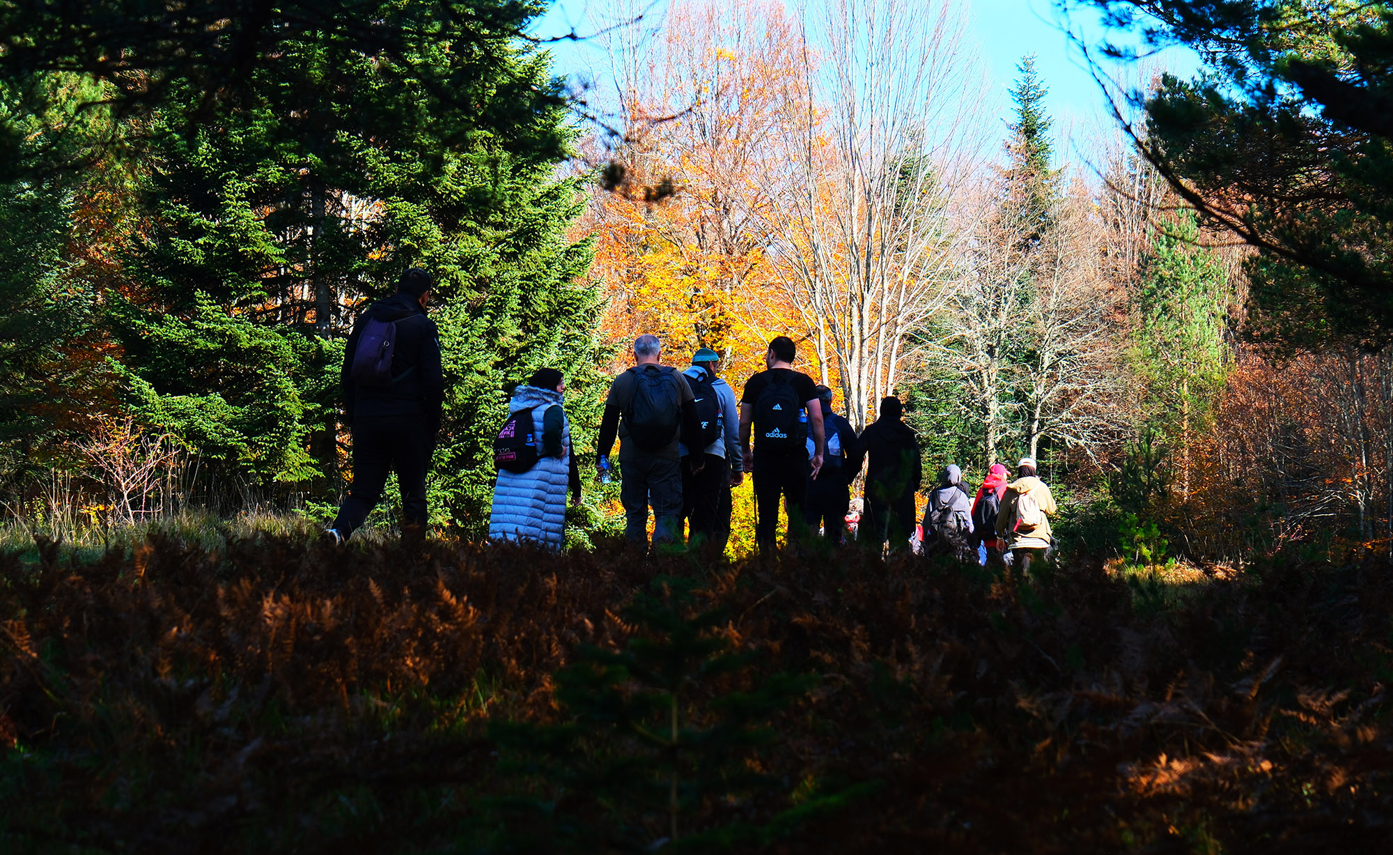 Sonbaharın büyüleyici renkleri arasında 14 kilometrelik unutulmaz rota