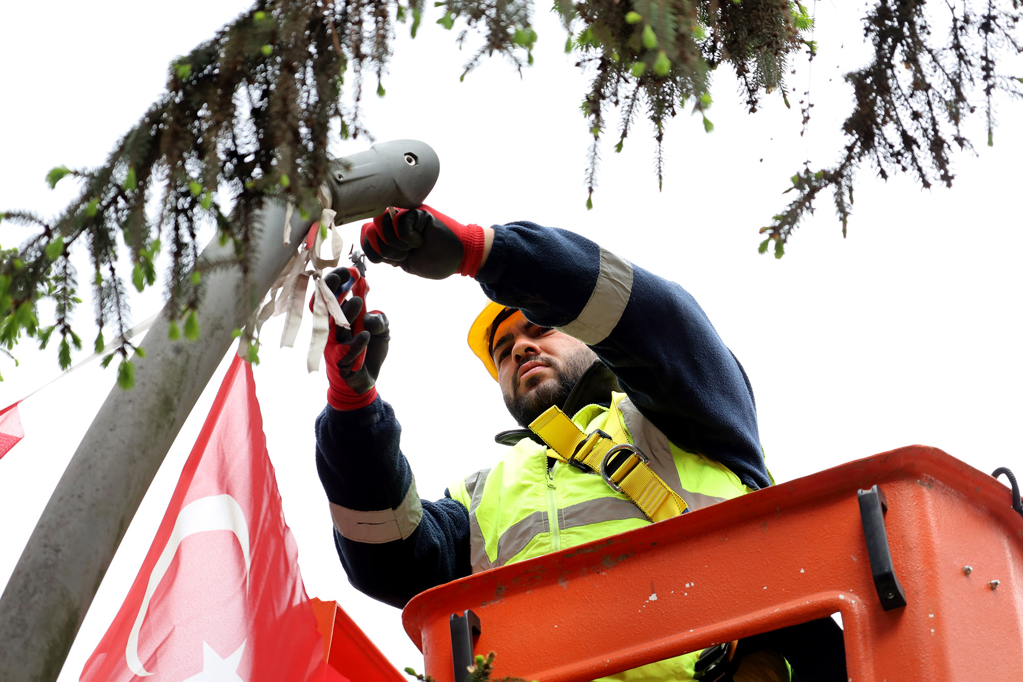 Büyükşehir’den doğaya duyarlı çalışma; Atatürk Bulvarı’na LED aydınlatma