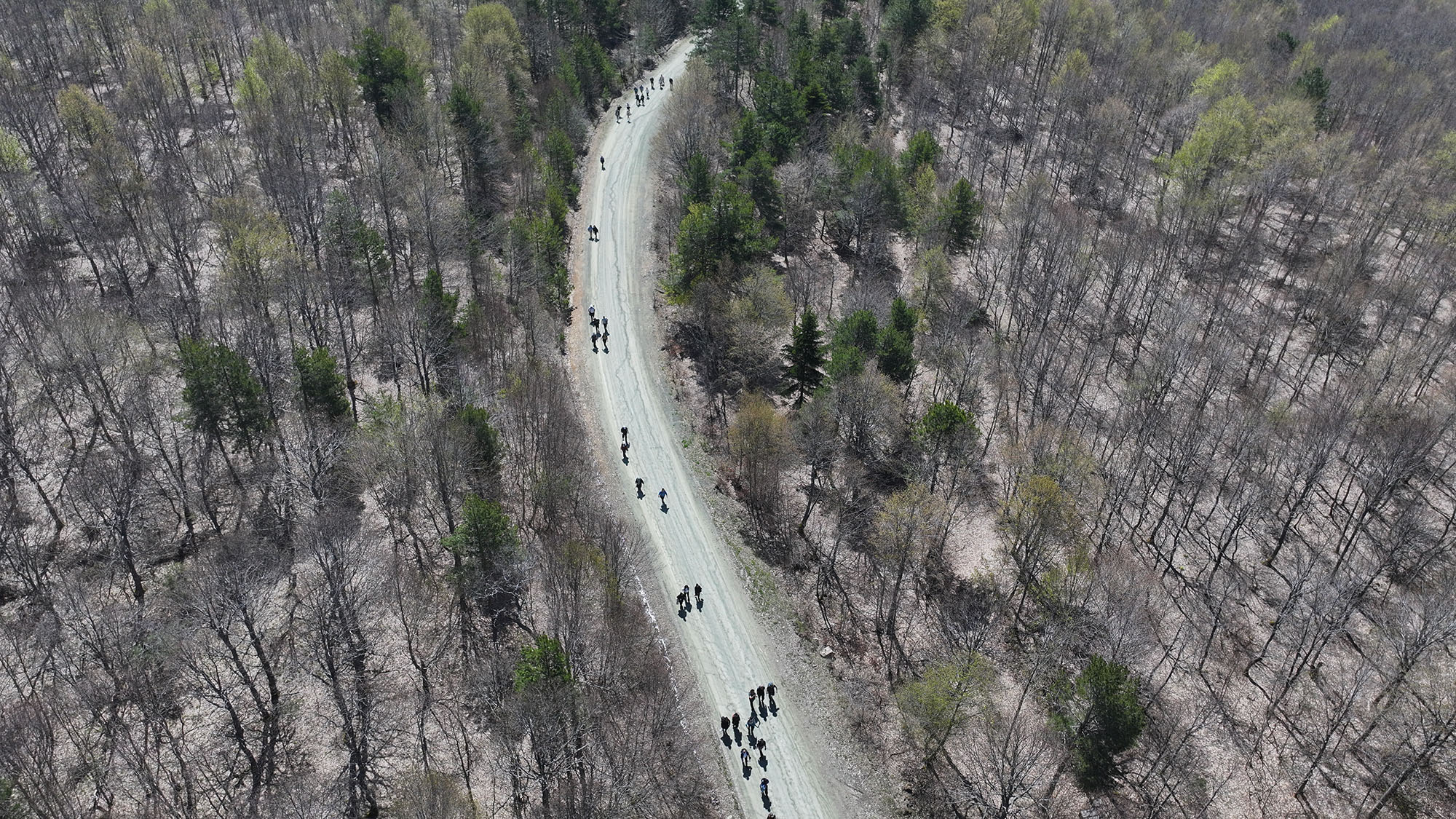 İnönü ve Ercova yaylaları tüm güzelliğiyle doğaseverleri ağırladı